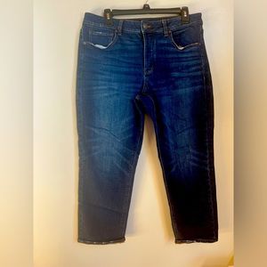 American eagle tomboy jeans size 10